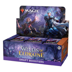 Magic the Gathering Wilds of Eldraine Draft Booster