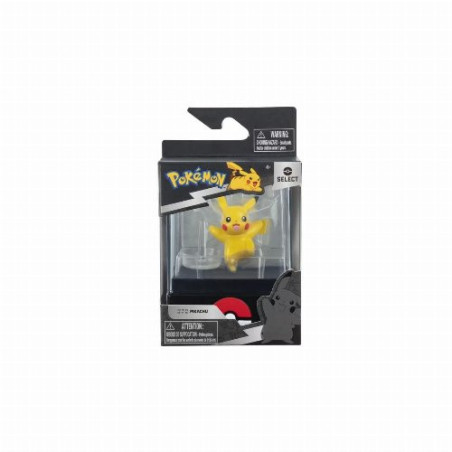Pokemon Pikachu with case (5cm)