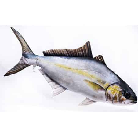 Μαγιάτικο - Ψάρι - Μαξιλάρι
