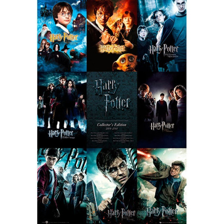 HARRY POTTER - Collection - Poster (91.5x61)