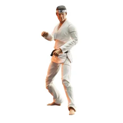 Cobra Kai - Miyagi-Do Karate - Daniel LaRusso