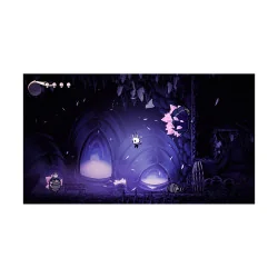 PS4 Hollow Knight