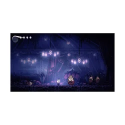 PS4 Hollow Knight