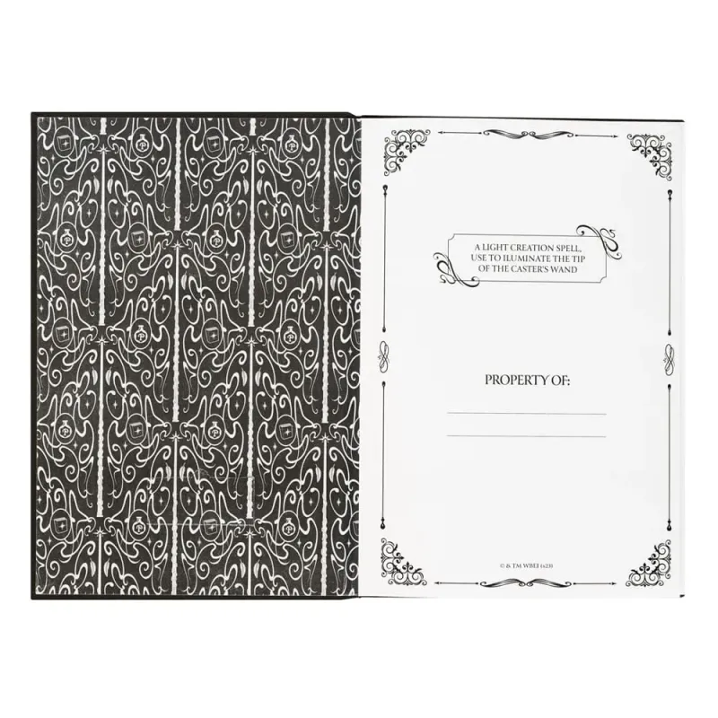 Harry Potter Premium Notebook A5 with Light Lumos Maxima