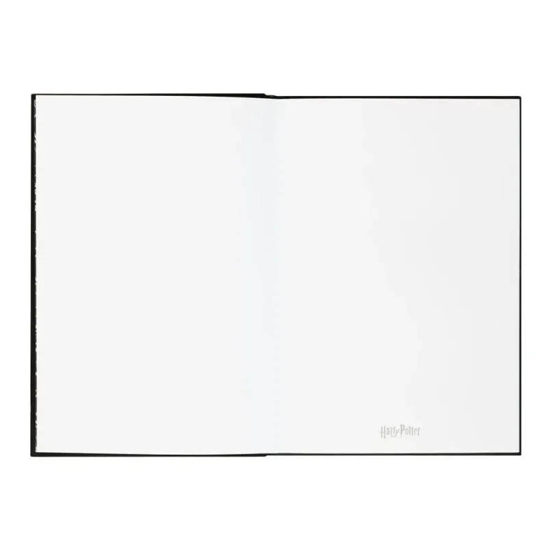 Harry Potter Premium Notebook A5 with Light Lumos Maxima