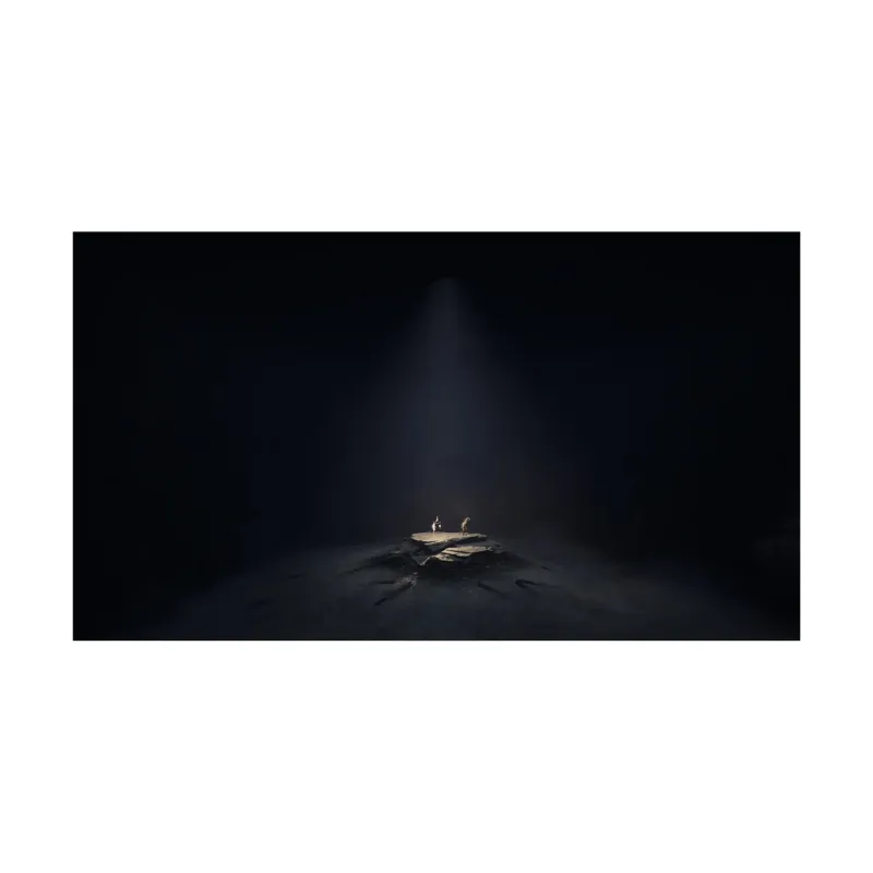 Nintendo Switch 2 Reanimal