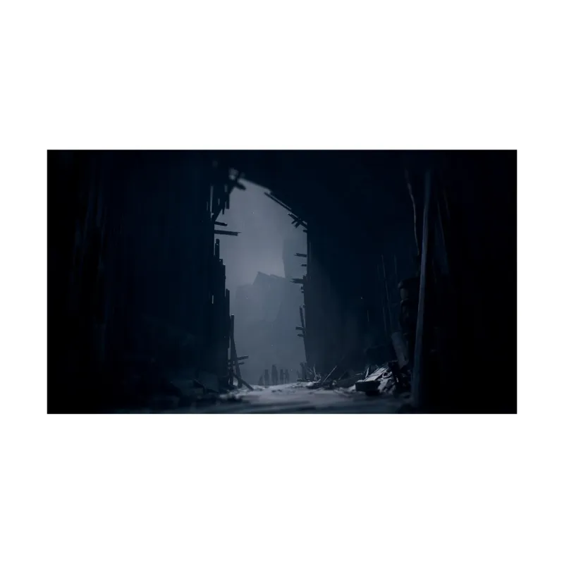 Nintendo Switch 2 Reanimal