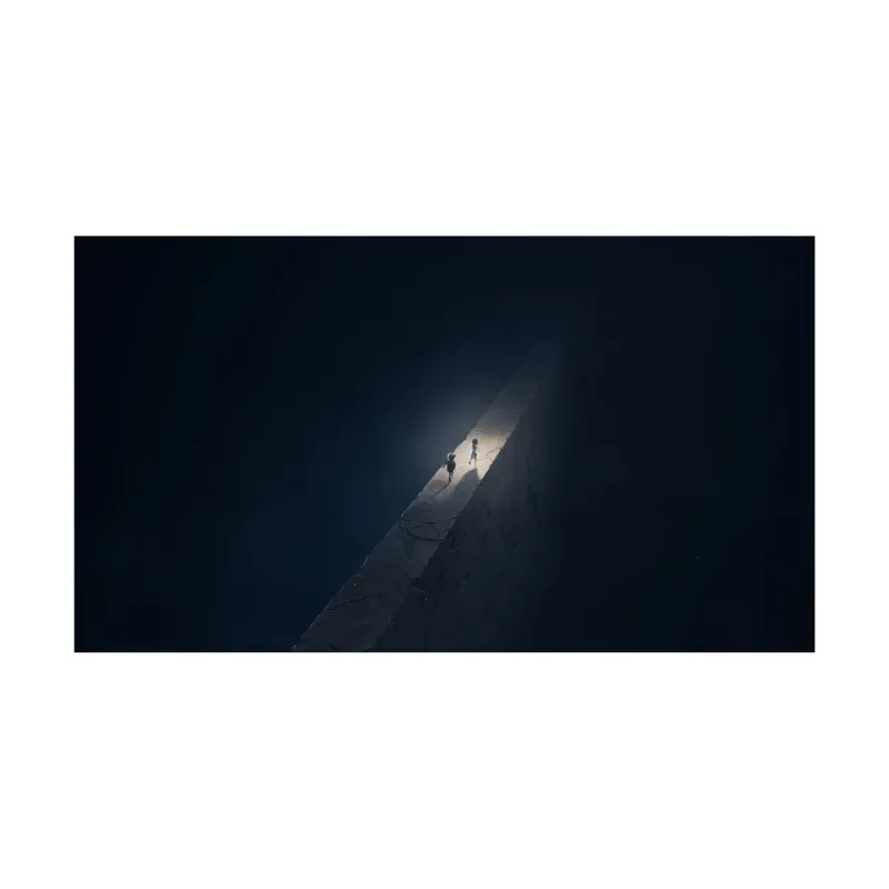 Nintendo Switch 2 Reanimal