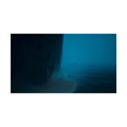 PS5 - Reanimal