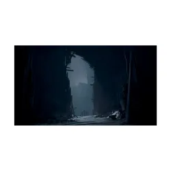 PS5 - Reanimal
