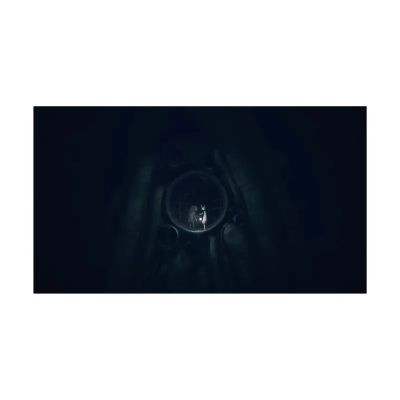 PS5 - Reanimal