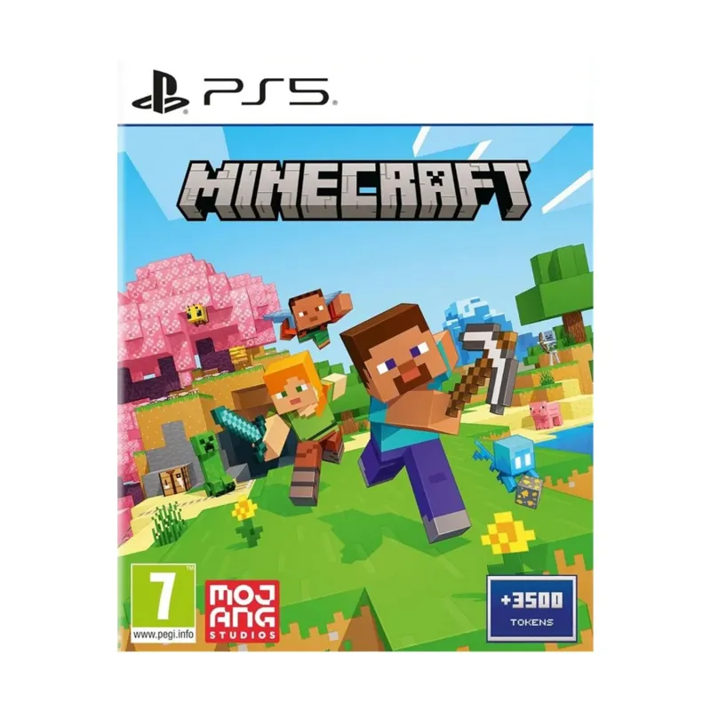 PS5- Minecraft