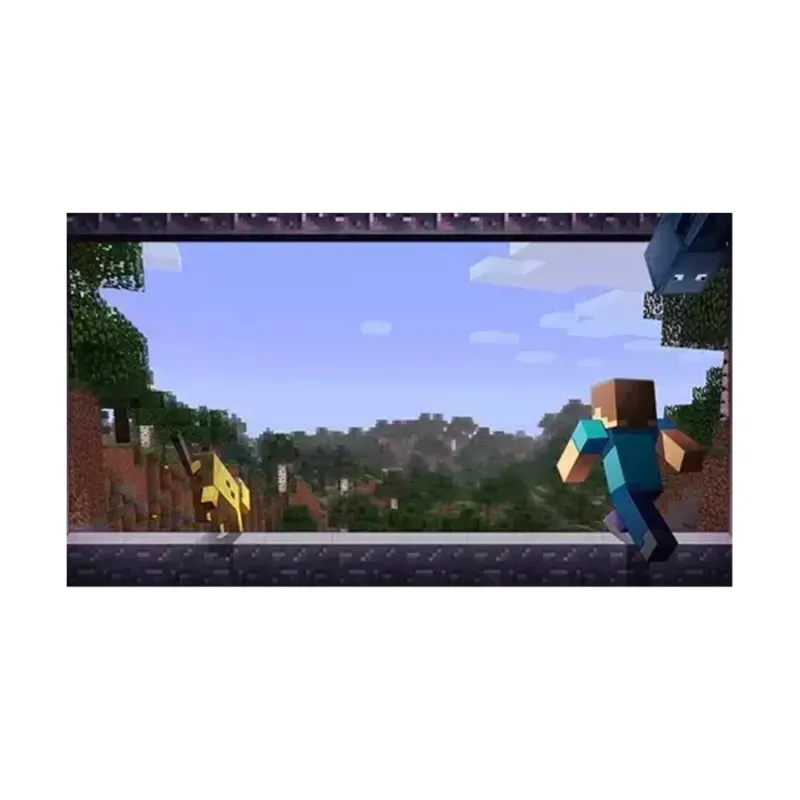 PS5- Minecraft