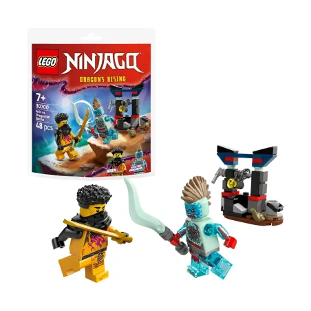 LEGO Ninjago: Arin vs. Dragonian Battle