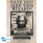 POSTER HARRY POTTER - WANTED SIRIUS BLACK (91.5X61)